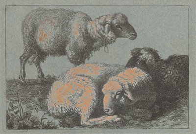Dos ovejas recostadas y una oveja de pie de Francesco Londonio