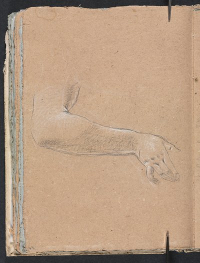 Cuaderno de bocetos de Verona: Brazo y mano derecha femenina (página 44) de Francesco Lorenzi