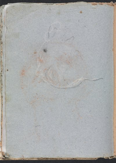 Cuaderno de Bocetos de Verona: Cabeza (página 30) de Francesco Lorenzi