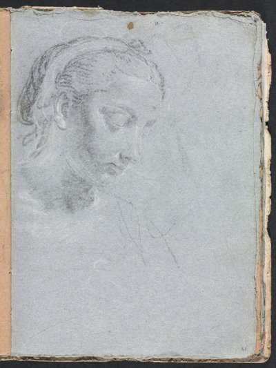 Cuaderno de bocetos de Verona: Cabeza y hombros de una mujer (página 61) de Francesco Lorenzi