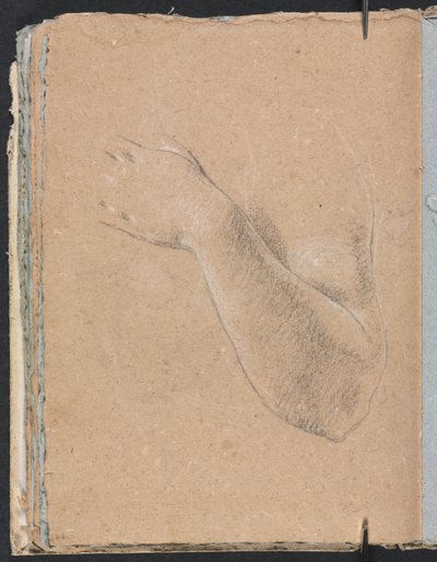 Cuaderno de bocetos de Verona: Brazo izquierdo y mano (página 46) de Francesco Lorenzi
