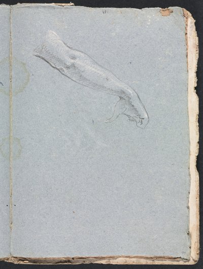 Cuaderno de bocetos de Verona: Brazo y mano derecha (página 95) de Francesco Lorenzi
