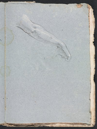 Cuaderno de bocetos de Verona: Brazo derecho y mano página 95, 1760 de Francesco Lorenzi