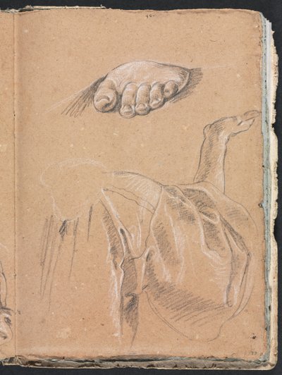 Cuaderno de Bocetos de Verona: Estudio de un pie izquierdo y estudio de drapeado con brazo derecho (página 79) de Francesco Lorenzi