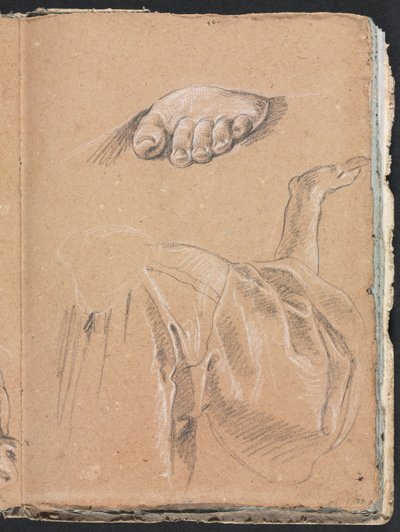 Cuaderno de bocetos de Verona: Estudio de un pie izquierdo y estudio de drapeado con brazo derecho página 79, 1760 de Francesco Lorenzi