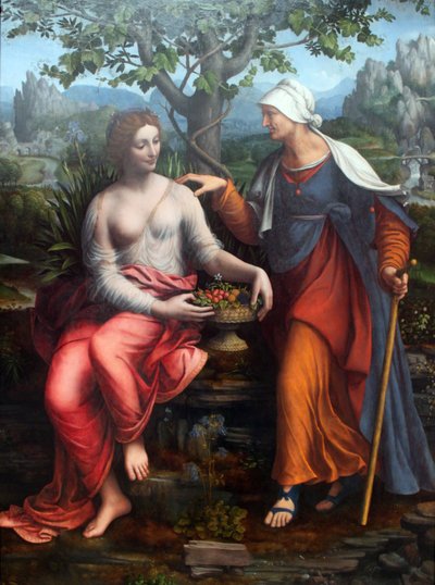 Vertumno y Pomona de Francesco Melzi