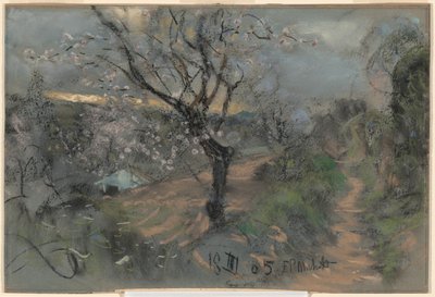 Un camino en la ladera con cerezos en flor bajo un cielo nublado de Francesco Paolo Michetti
