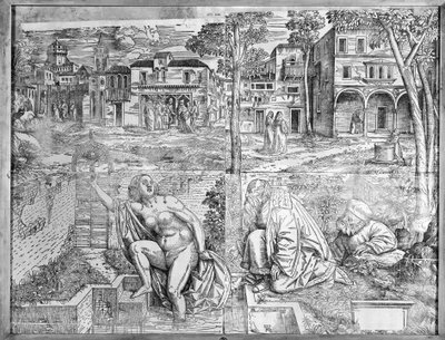 Transfiguraciones de Francesco Pozzi