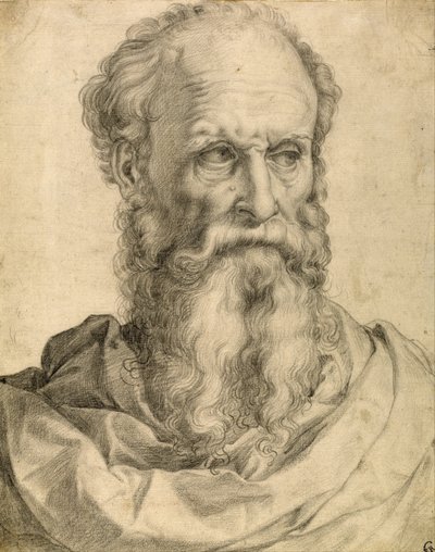 Cabeza y hombros de un hombre barbudo de Francesco Salviati