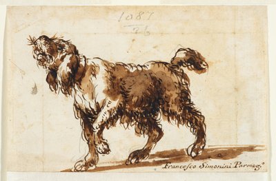 Perro aullando (anverso), c.1700-50 (tiza negra, pluma y tinta marrón, aguada marrón, grafito sobre papel verjurado) de Francesco Simonini