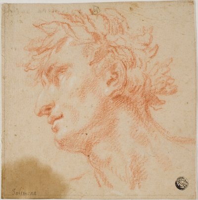 Perfil de cabeza masculina, coronada con hojas de laurel de Francesco Solimena