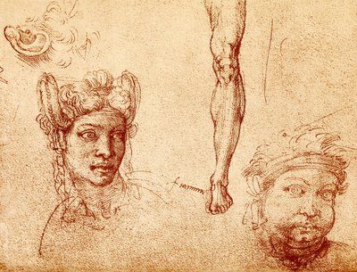 Estudios de cabeza y pierna de Francesco Ubertini Bacchiacca
