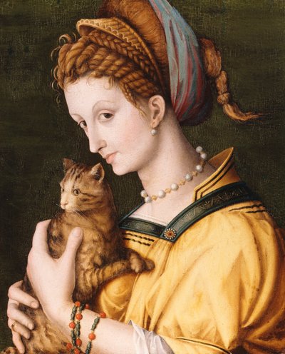 Dama con un gato de Francesco Ubertini Bacchiacca