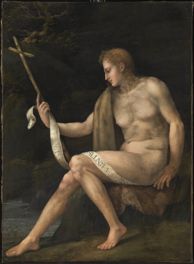 San Juan Bautista en el Desierto de Francesco Ubertini Bacchiacca