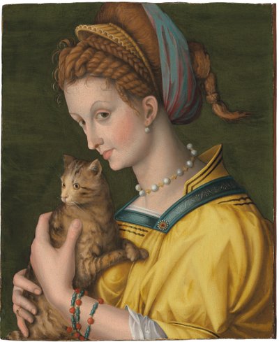 Retrato de una joven sosteniendo un gato de Francesco Ubertini Verdi Bachiacca