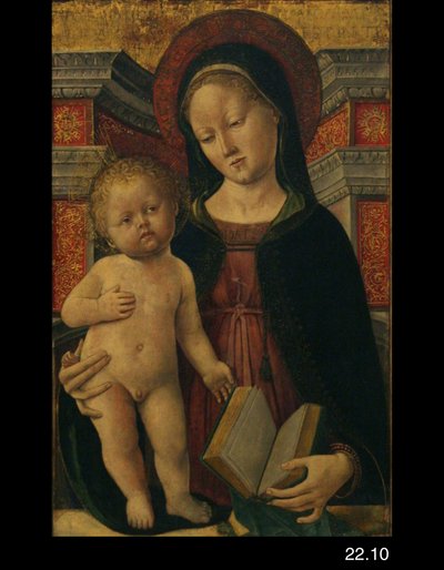 Virgen con el Niño de Francesco dai Libri