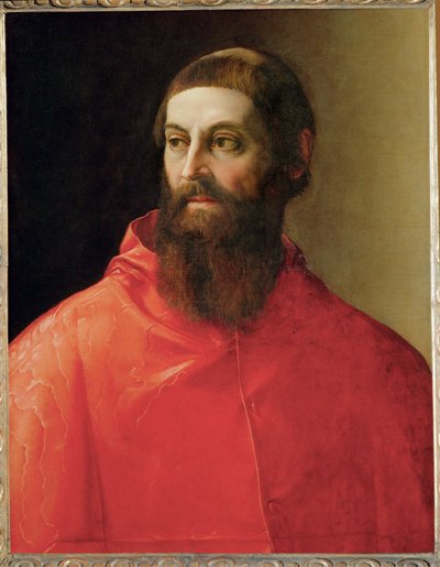 Cardenal Rodolfo Pio (pintura sobre lienzo) de Francesco de Rossi Salviati