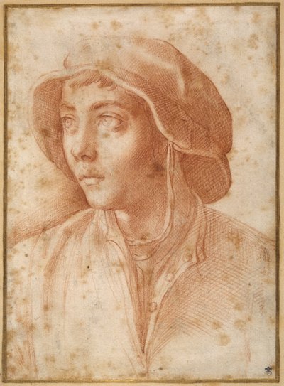 Retrato busto de un niño con gorra de Francesco de Rossi Salviati Cecchino