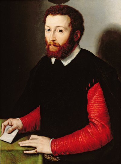 Retrato de un hombre sosteniendo una carta, c.1530-40 de Francesco de Rossi Salviati Cecchino