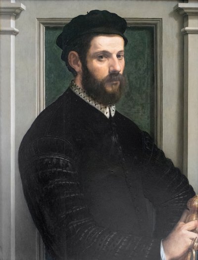 Retrato de un caballero de Francesco de Rossi Salviati Cecchino