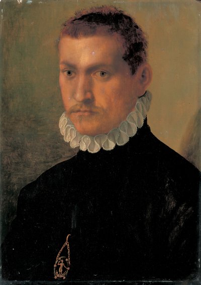Retrato de un caballero de Francesco de Rossi Salviati Cecchino