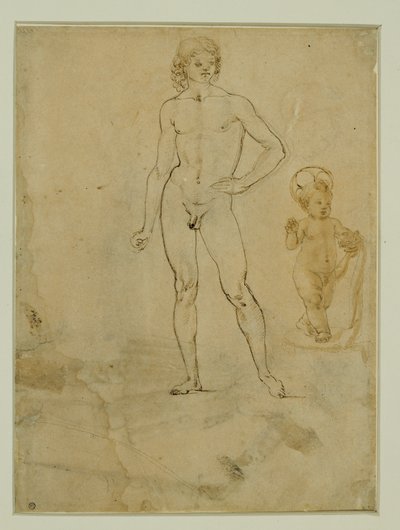 Un joven desnudo, de pie; el niño Jesús; retrato femenino vuelto hacia la derecha ... de Francesco di Simone (attr. to)
