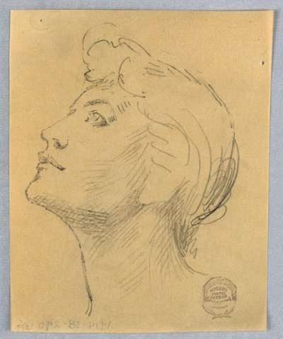 Cabeza de una mujer de Francis Augustus Lathrop