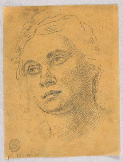 Cabeza de una mujer de Francis Augustus Lathrop