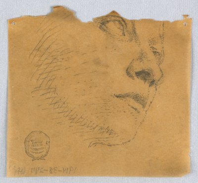 Boceto Parcial de una Cara de Francis Augustus Lathrop