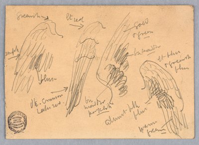 Bocetos de alas de Francis Augustus Lathrop