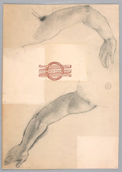 Estudios de Brazos de Francis Augustus Lathrop