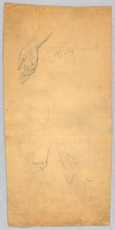 Estudios de manos y un pie de Francis Augustus Lathrop