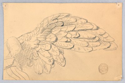 Estudio de un ala de Francis Augustus Lathrop