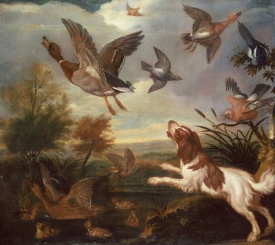 Un Spaniel Flushing Mallard (óleo sobre lienzo) de Francis Barlow