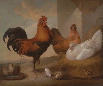 Gallos, gallinas y pollitos domésticos de Francis Barlow