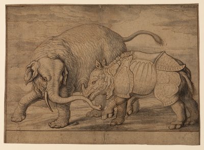 Lucha entre un elefante y un rinoceronte de Francis Barlow