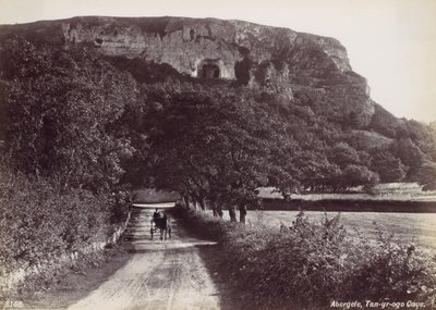 Abergele, Cueva Tan-yr-ogo, 1870s de Francis Bedford