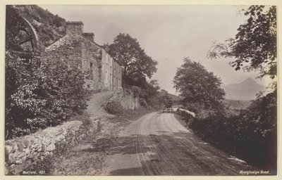 Camino de Aberglaslyn de Francis Bedford