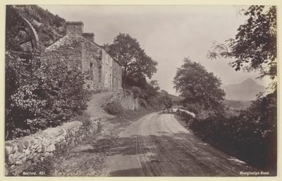 Camino de Aberglaslyn, 1860-94 de Francis Bedford