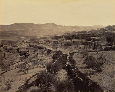 Belén - El campo de los pastores de Francis Bedford