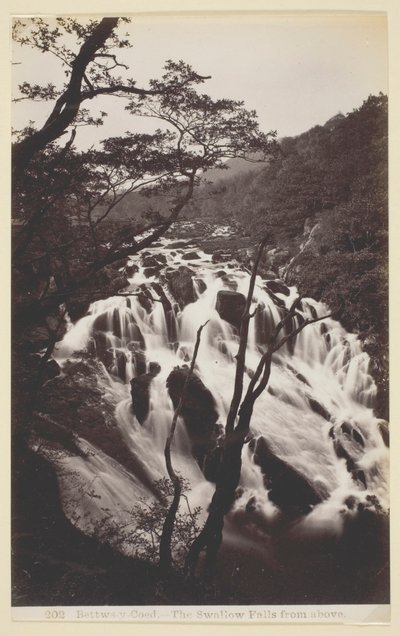 Bettw-s-y Coed, Las cataratas Swallow desde arriba de Francis Bedford