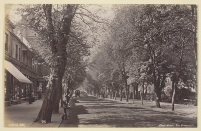 Cheltenham, el Paseo, 1860-94 de Francis Bedford