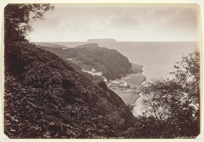 Clovelly desde el Hobby, 1860-94 de Francis Bedford