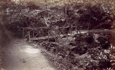 Colwyn Bay. Puente rústico en el bosque, 1870s de Francis Bedford