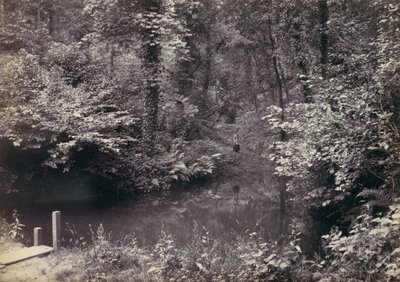Colwyn Bay. La Piscina en el Bosque, 1870s de Francis Bedford
