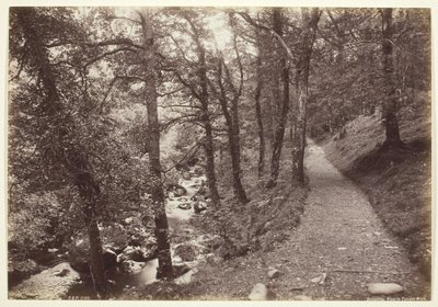 Dolgelley, Vista en el Paseo del Torrente de Francis Bedford