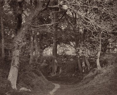 Glen Kenilworth,c. 1868 (foto) de Francis Bedford