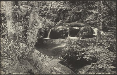 Glen Lyn, arroyo y follaje de Francis Bedford