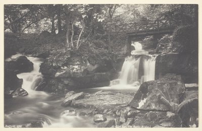 Glen Lyn, el Puente Rústico de Francis Bedford
