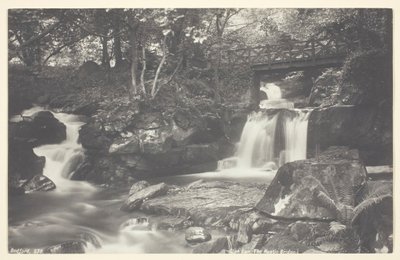 Glen Lyn, el Puente Rústico de Francis Bedford